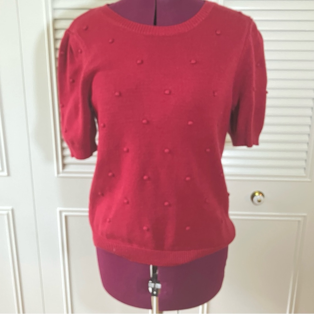 The Mint Maroon Red Textured Knit Short Sleeve Sweater Top Large
